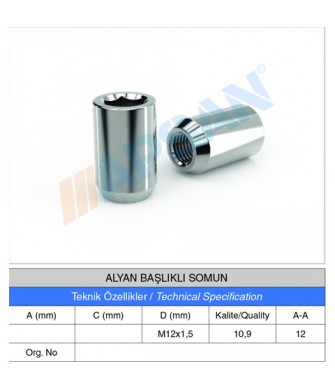 ALYAN BAŞLIKLI SOMUN