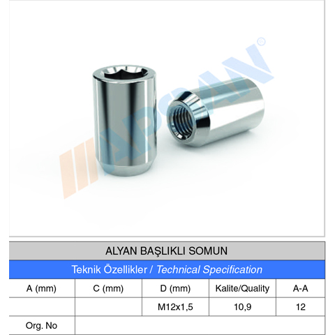 ALYAN BAŞLIKLI SOMUN