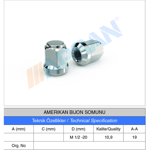 AMERIKAN BİJON SOMUNU
