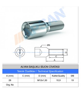 ALYAN BAŞLIKLI BİJON CİVATASI